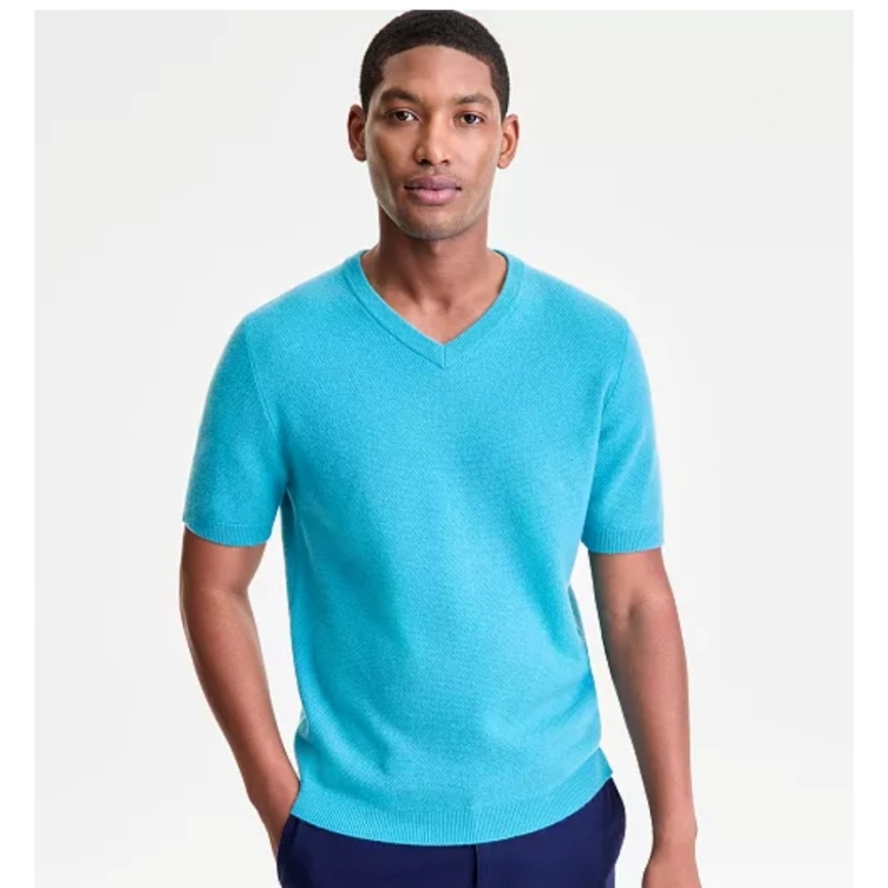 NWT Mens Club Room Cashmere V-neck Sweater, Sz L